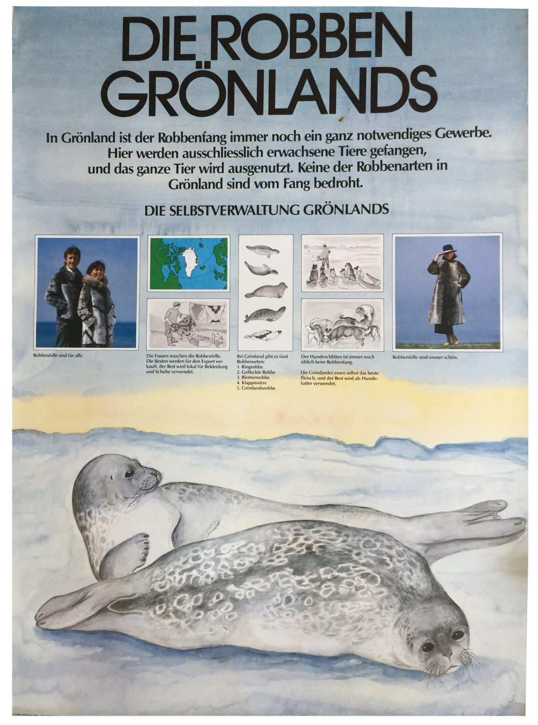 Robben Grönlands (Bild: Tusarviilik Nuuk, Grönländische Selbstverwaltung 1986)